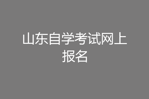 山东自学考试网上报名