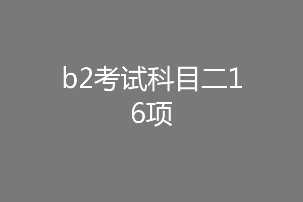 b2考试科目二16项