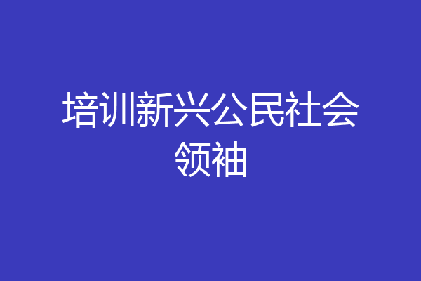 培训新兴公民社会领袖