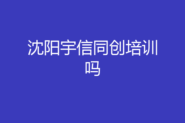 沈阳宇信同创培训吗