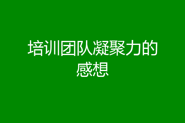 培训团队凝聚力的感想