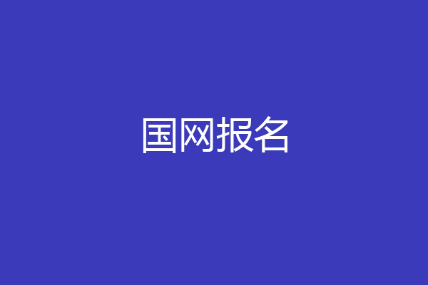 国网报名
