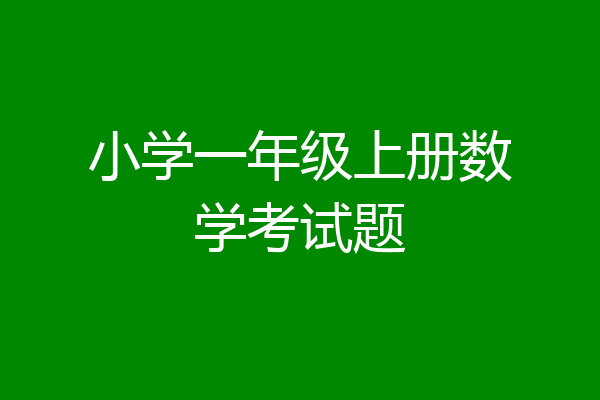小学一年级上册数学考试题