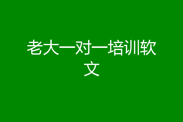 老大一对一培训软文