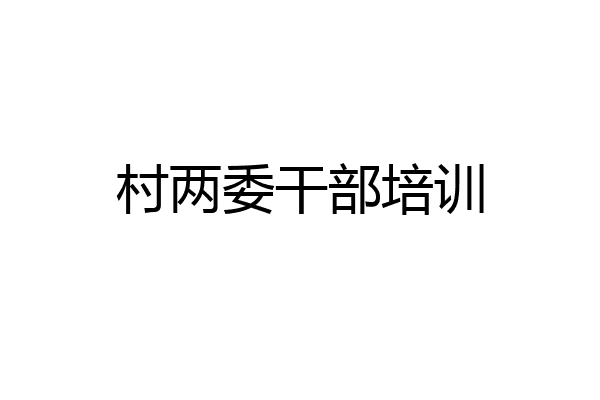 村两委干部培训