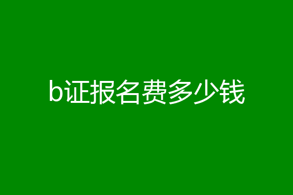 b证报名费多少钱