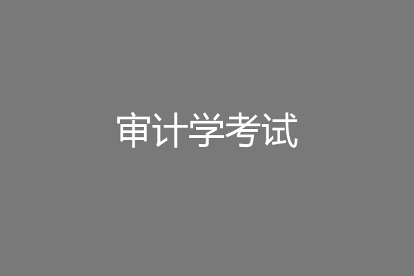 审计学考试