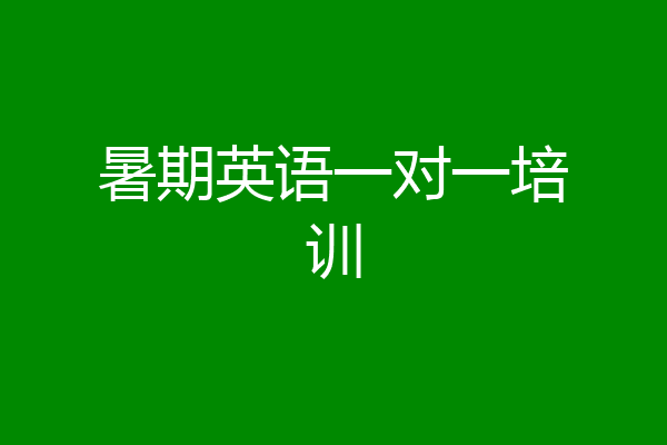 暑期英语一对一培训