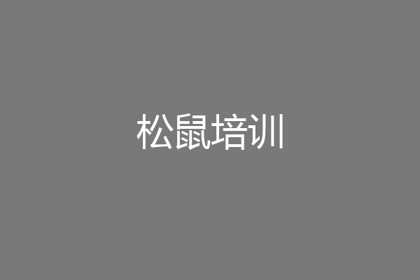 松鼠培训