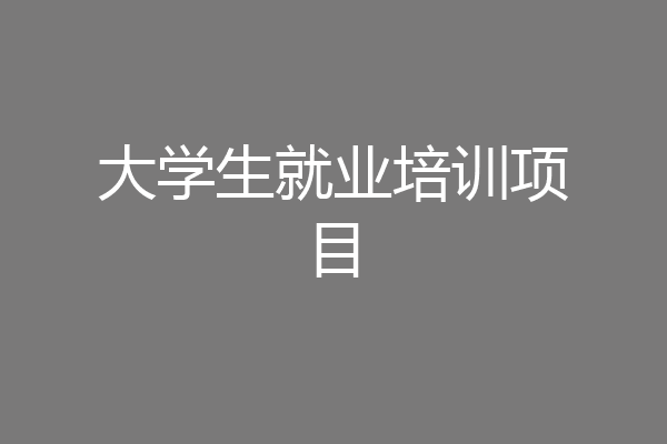 大学生就业培训项目