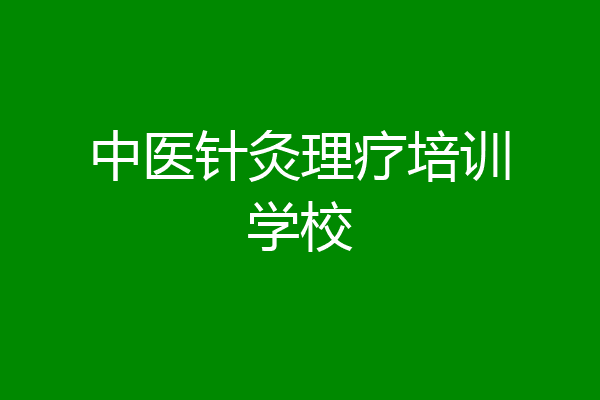 中医针灸理疗培训学校