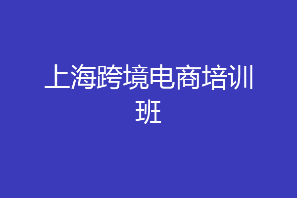 上海跨境电商培训班