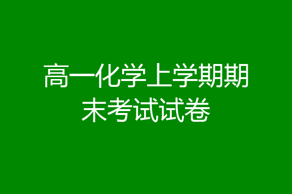 高一化学上学期期末考试试卷