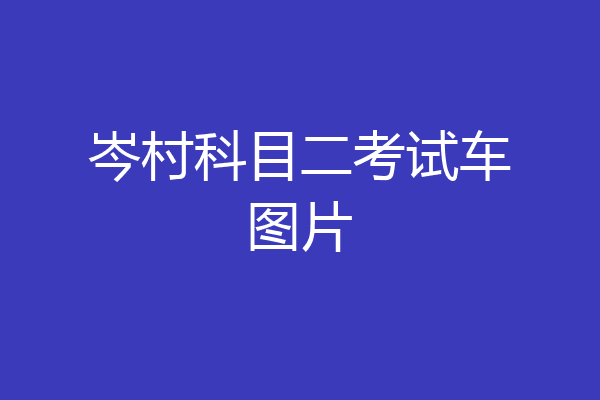 岑村科目二考试车图片