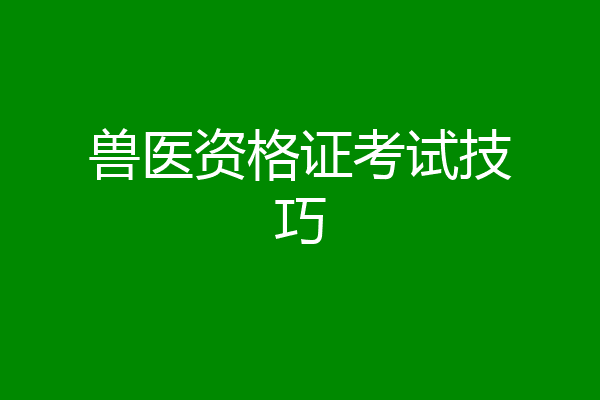 兽医资格证考试技巧