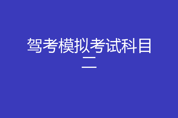 驾考模拟考试科目二
