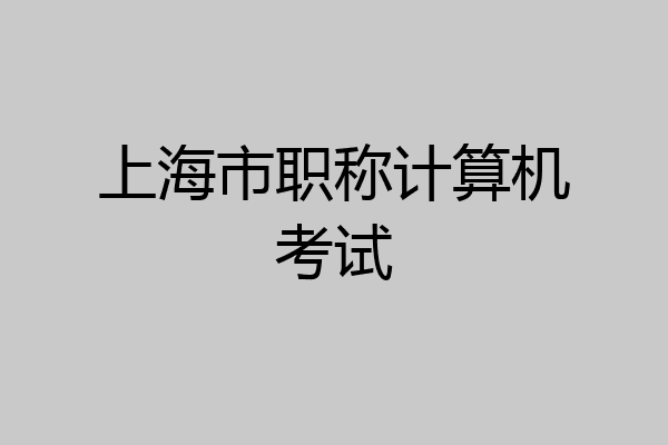 上海市职称计算机考试