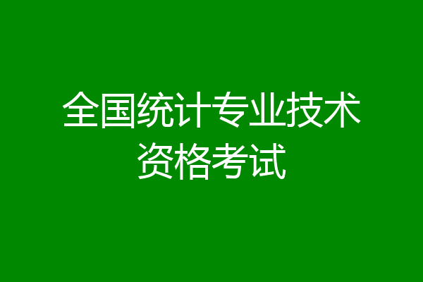 全国统计专业技术资格考试