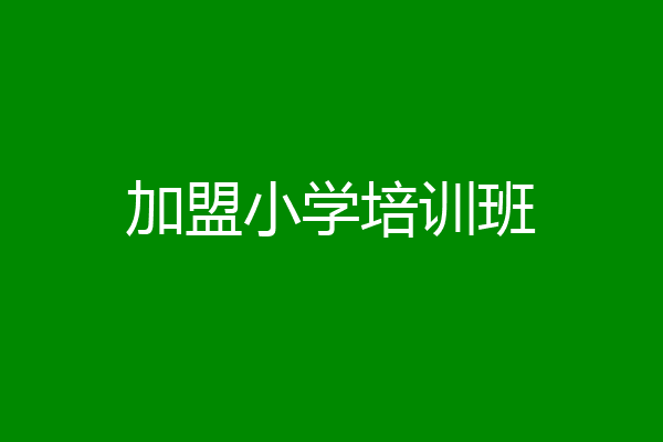 加盟小学培训班