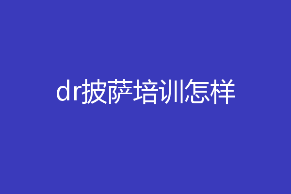 dr披萨培训怎样