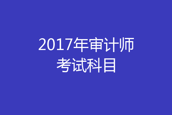 2017年审计师考试科目