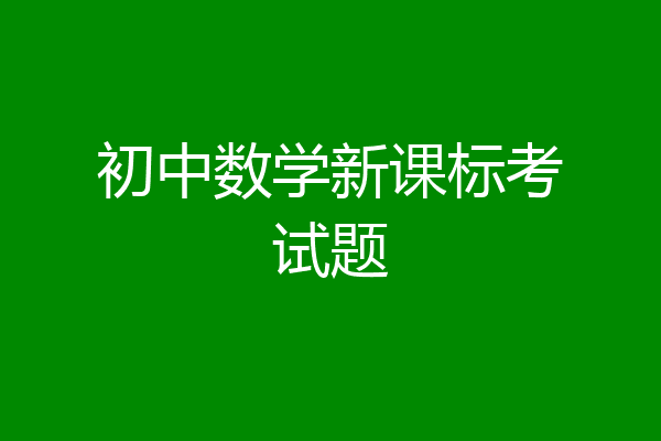 初中数学新课标考试题