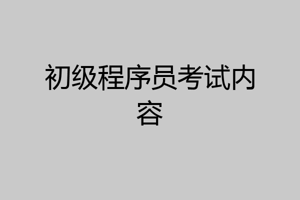 初级程序员考试内容