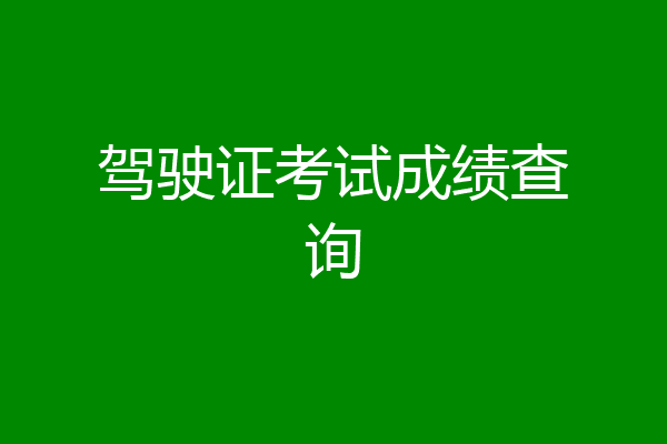 驾驶证考试成绩查询