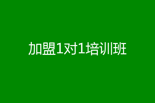 加盟1对1培训班