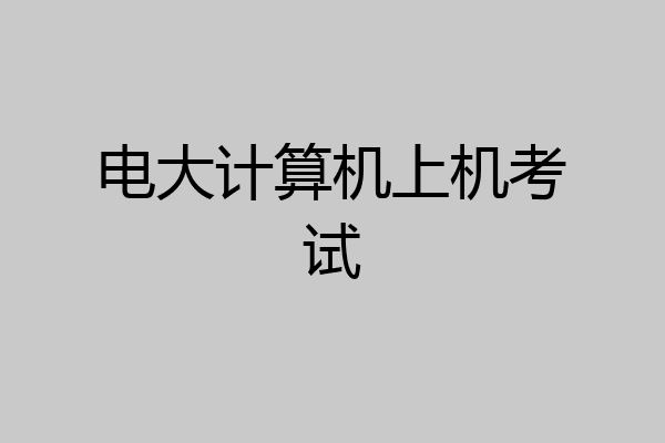 电大计算机上机考试