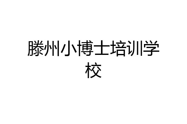 滕州小博士培训学校