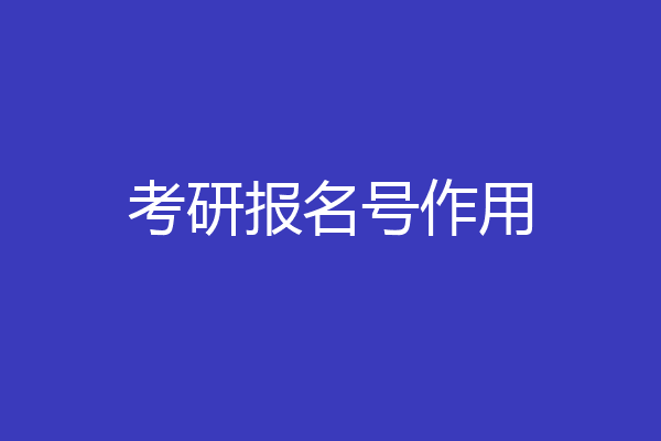考研报名号作用