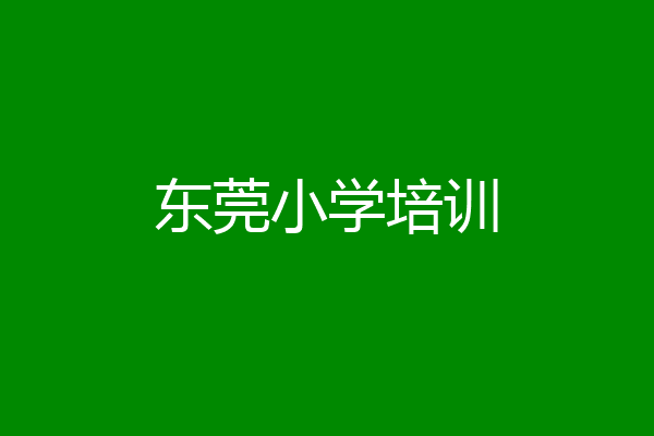 东莞小学培训