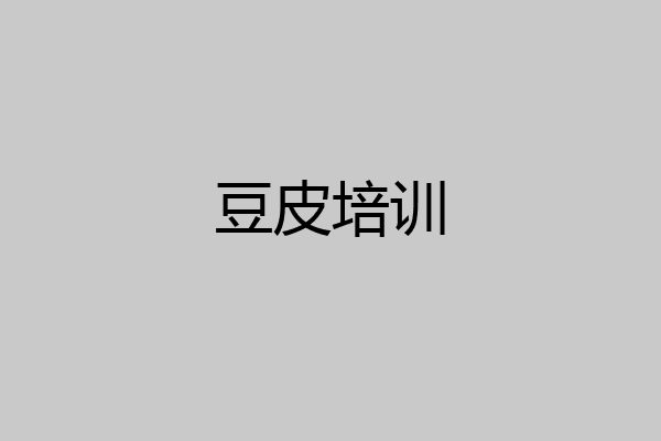豆皮培训