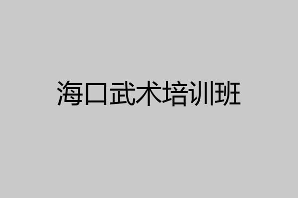 海口武术培训班