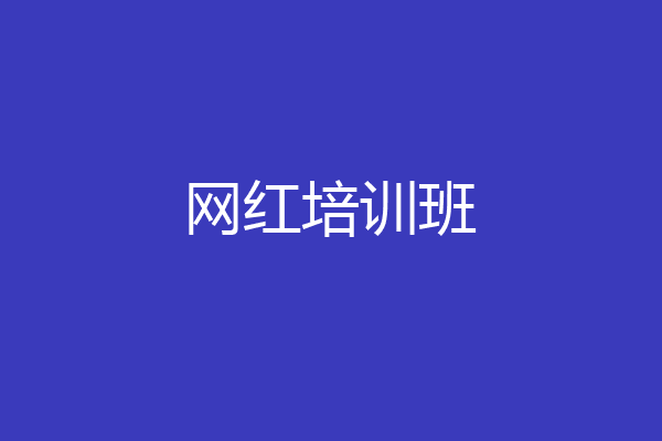 网红培训班