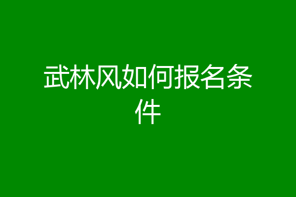 武林风如何报名条件