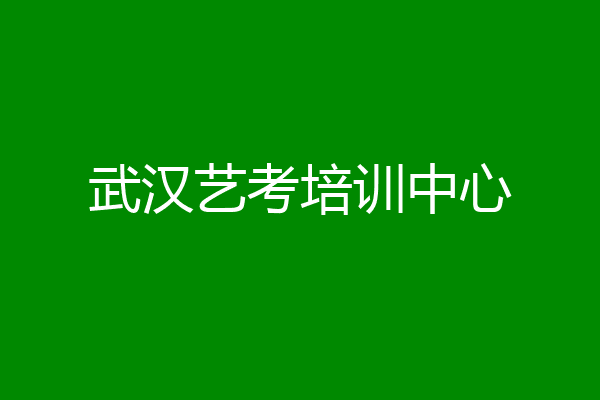 武汉艺考培训中心