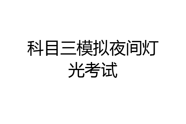 科目三模拟夜间灯光考试