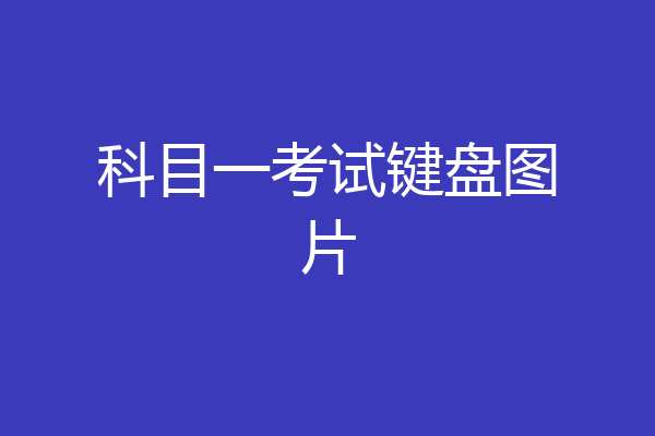 科目一考试键盘图片