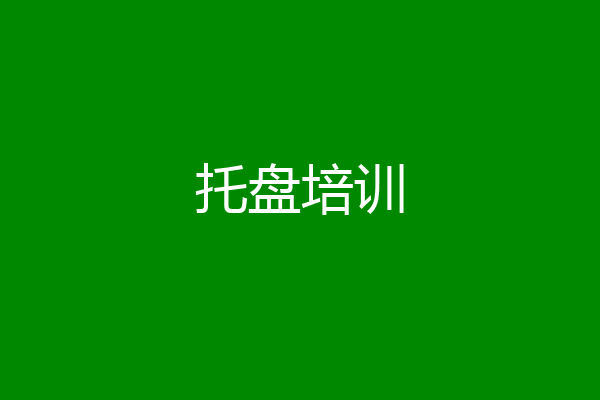 托盘培训