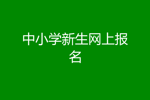中小学新生网上报名