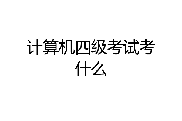 计算机四级考试考什么