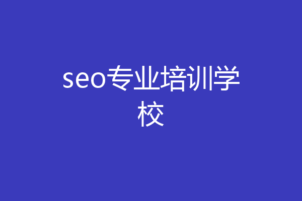 seo专业培训学校