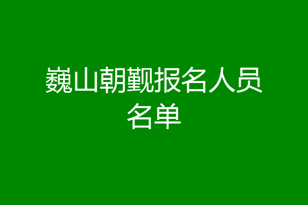 巍山朝觐报名人员名单