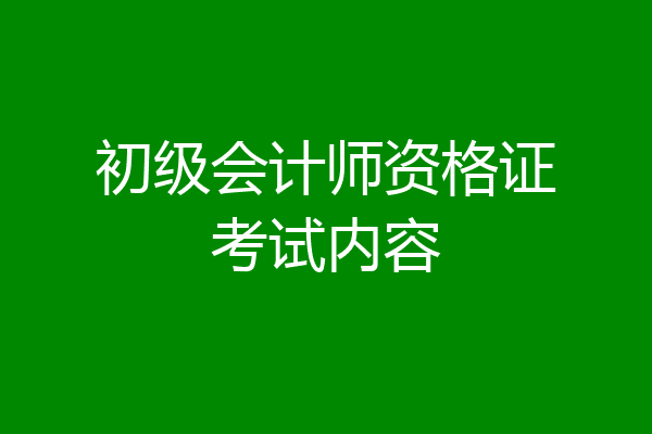 初级会计师资格证考试内容