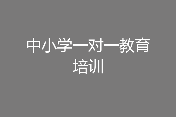 中小学一对一教育培训