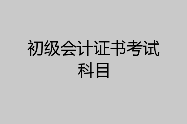 初级会计证书考试科目