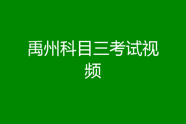 禹州科目三考试视频
