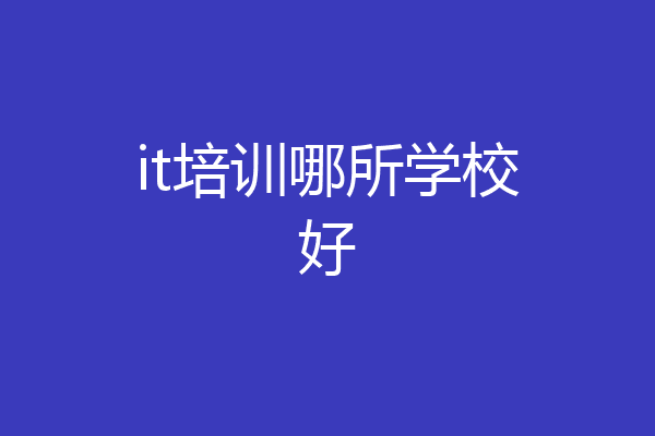 it培训哪所学校好